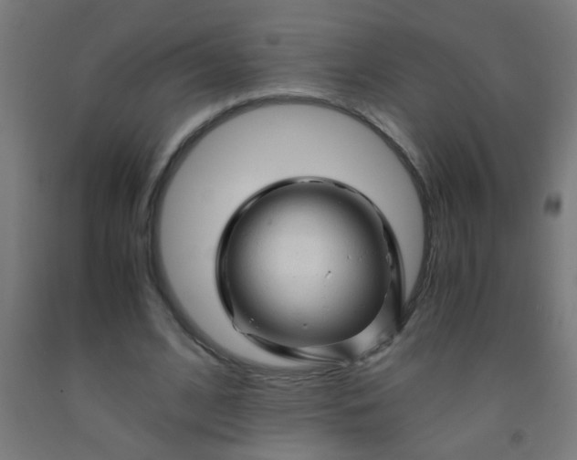 X0000092020584200709271551