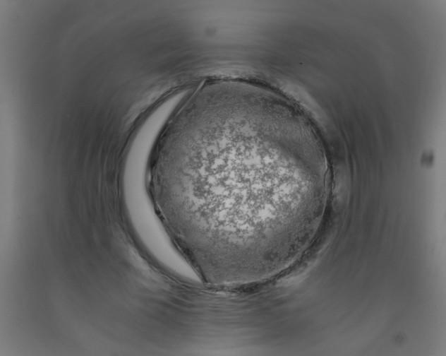 X0000092020585200709271551