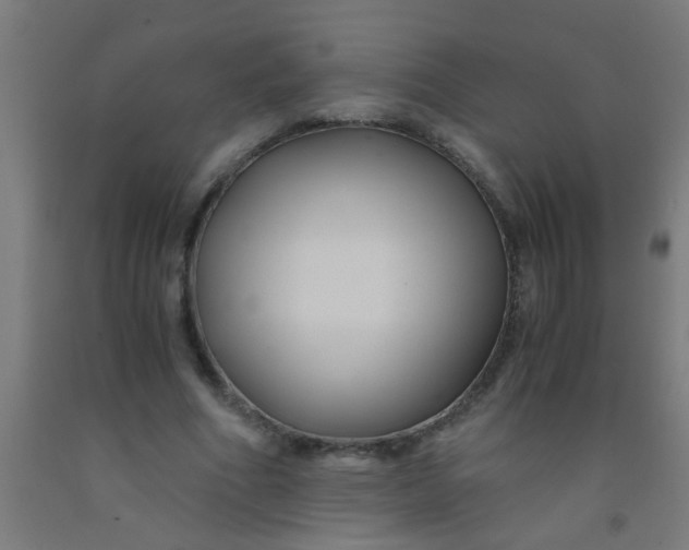 X0000092020586200709271551