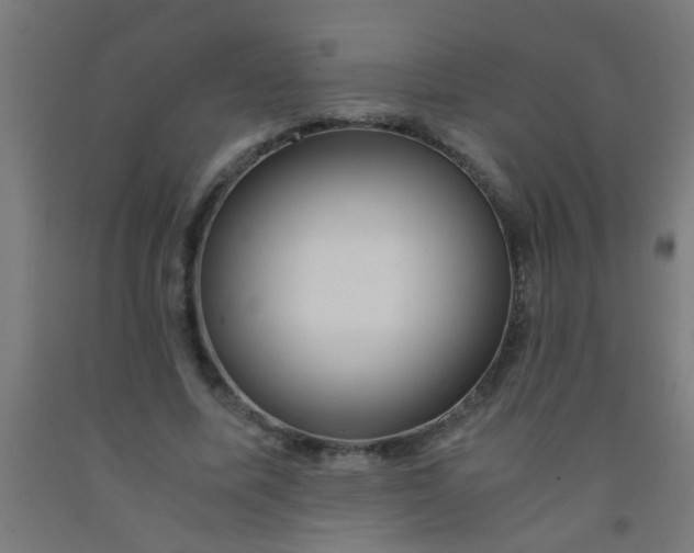 X0000092020587200709271551