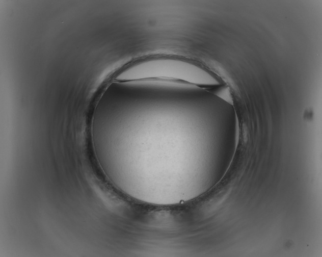 X0000092020588200709271551