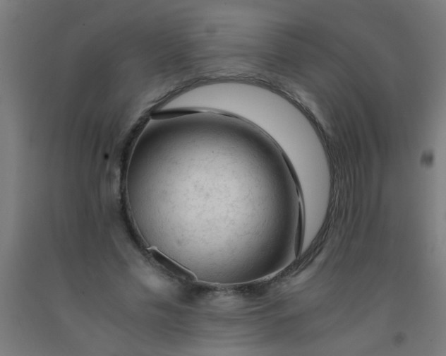 X0000092020589200709271551