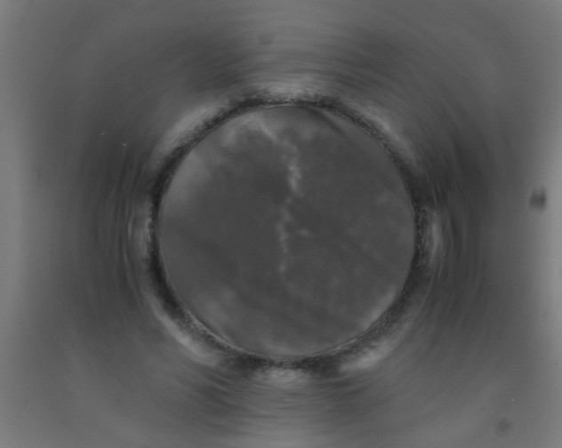 X0000092020590200709271551