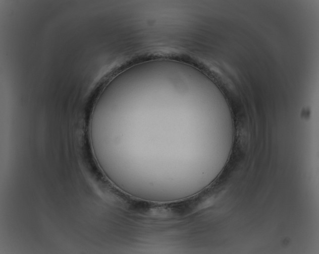 X0000092020591200709271551