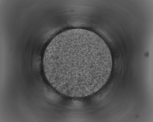 X0000092020592200709271551