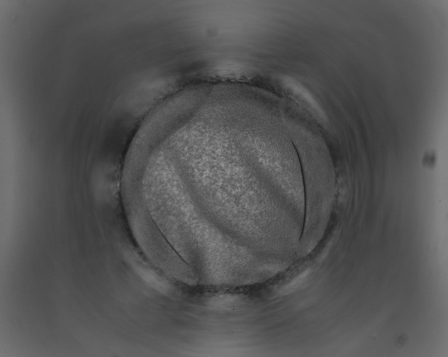 X0000092020593200709271551