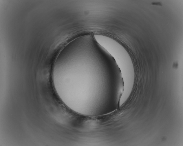 X0000092020595200709271551