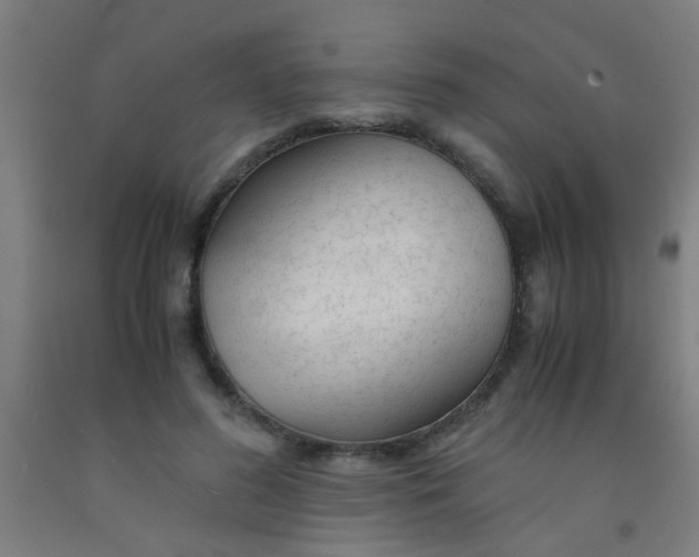 X0000092020596200709271551