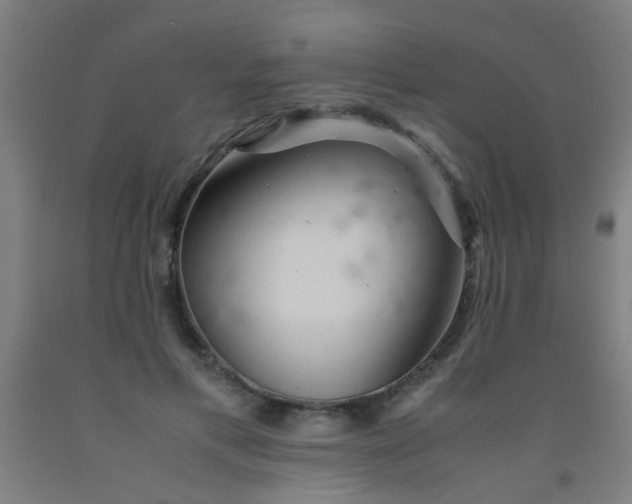 X0000092020597200709271551