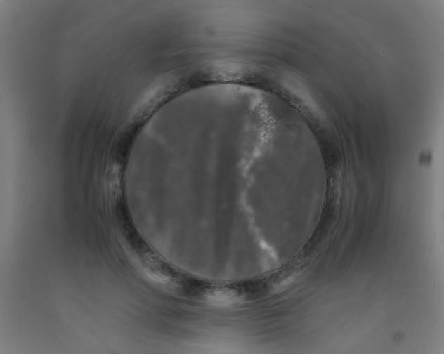 X0000092020598200709271551