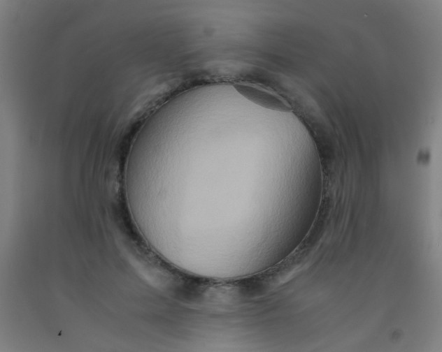 X0000092020599200709271551