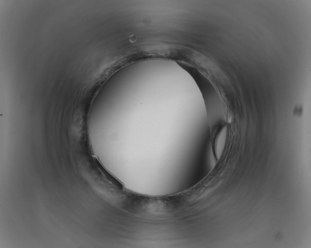 X0000092020600200709271551