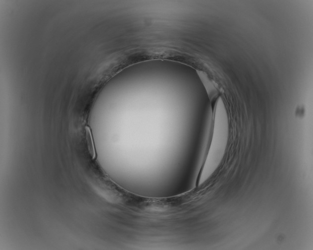 X0000092020601200709271551