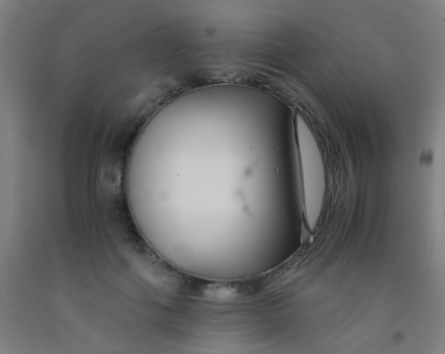 X0000092020602200709271551