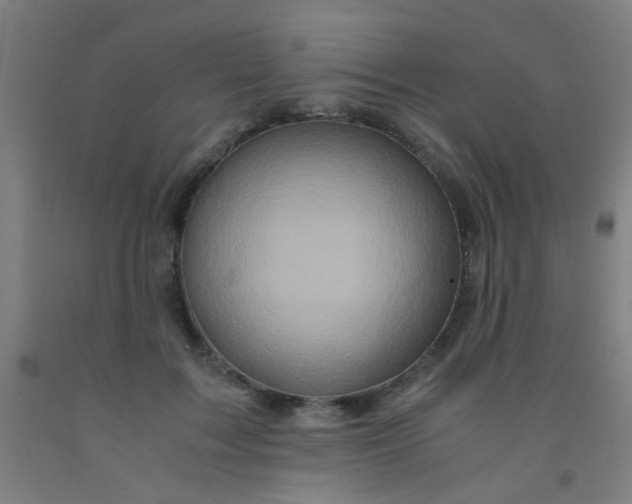 X0000092020603200709271551