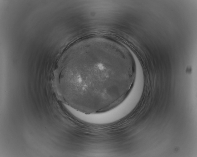 X0000092020604200709271551