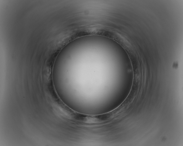 X0000092020605200709271551