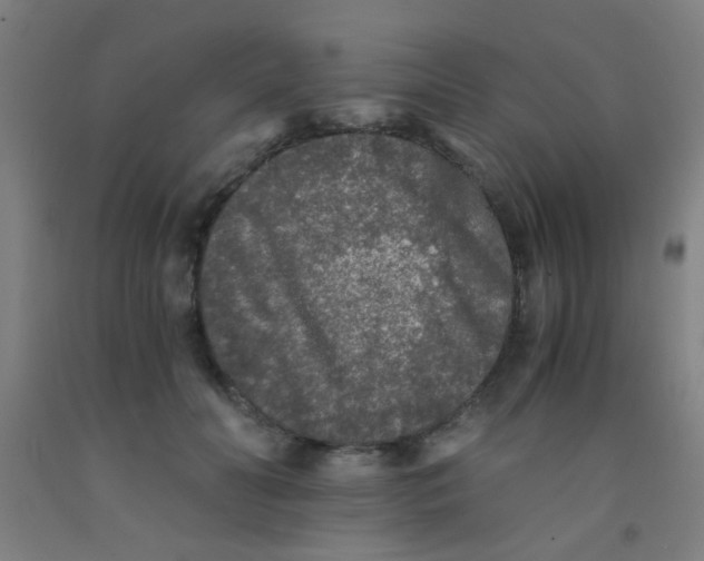 X0000092020606200709271551