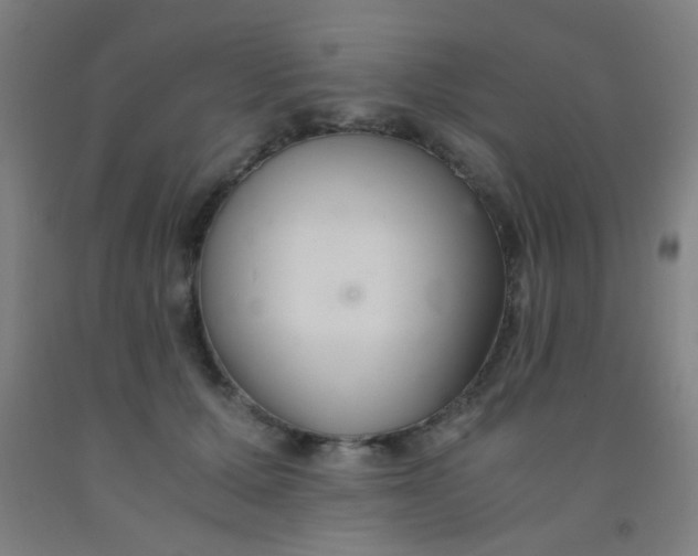 X0000092020607200709271551