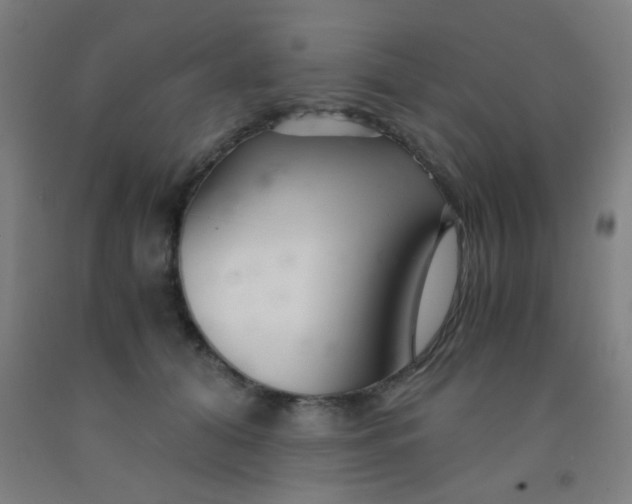 X0000092020608200709271551