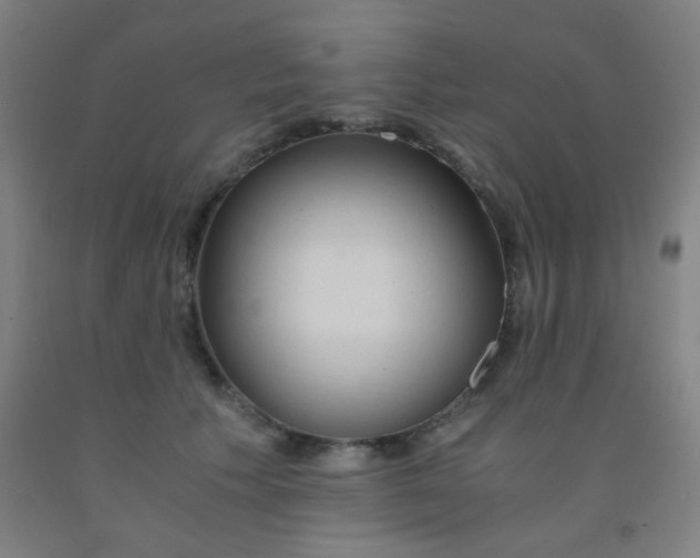 X0000092020609200709271551