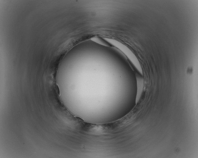 X0000092020611200709271551