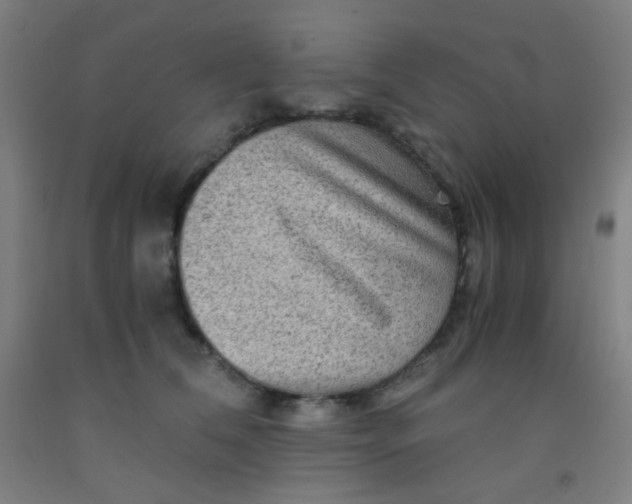 X0000092020612200709271551