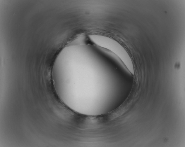 X0000092020613200709271550