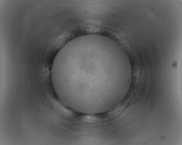 X0000092020614200709271550