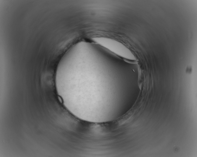 X0000092020616200709271550