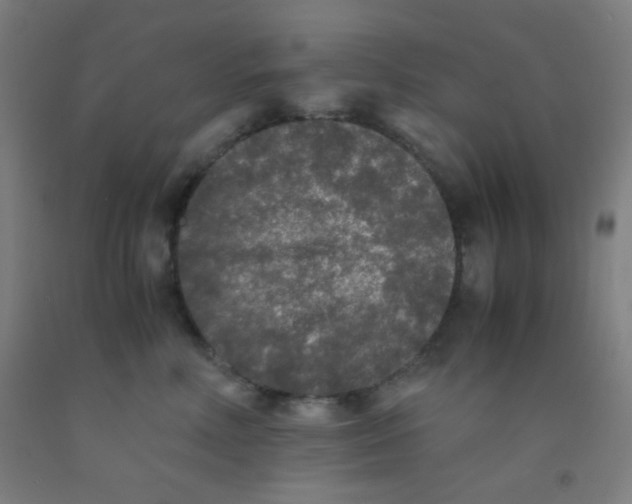 X0000092020618200709271550