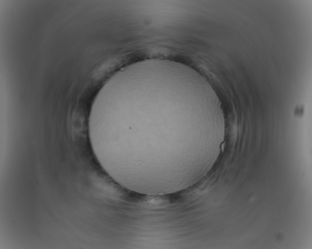 X0000092020619200709271550