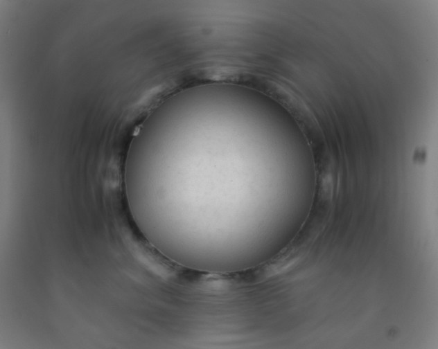 X0000092020620200709271550