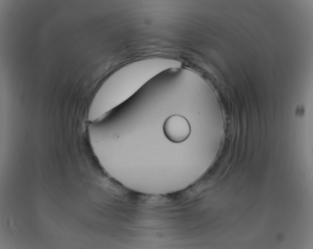 X0000092020621200709271550