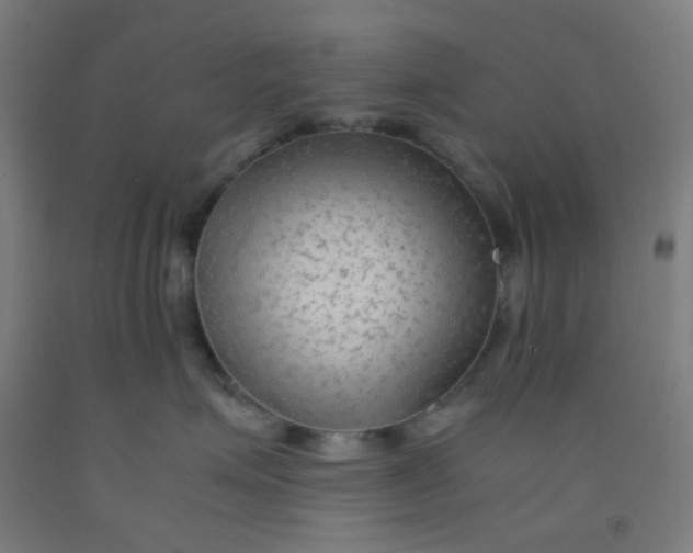 X0000092020623200709271550