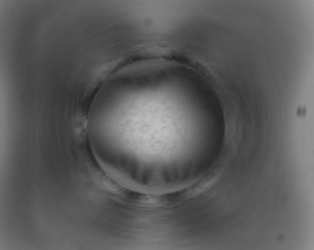 X0000092020624200709271550