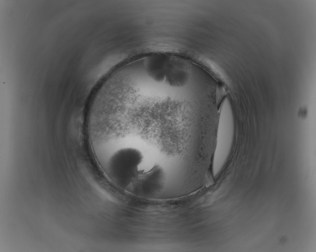 X0000092020627200709271550