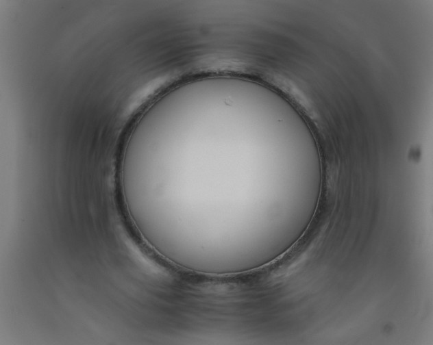 X0000092020629200709271550