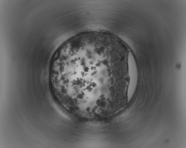 X0000092020630200709271550