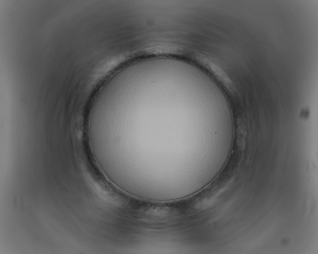 X0000092020631200709271550