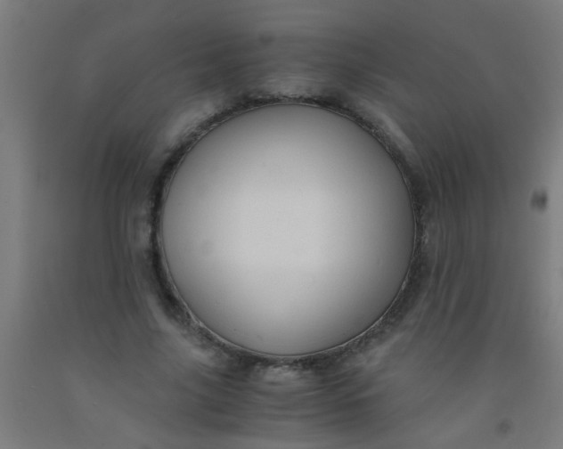 X0000092020635200709271550