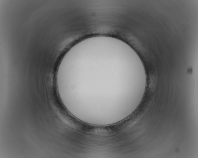 X0000092020636200709271550