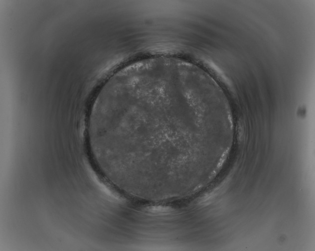 X0000092020637200709271550