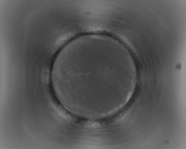 X0000092020640200709271550