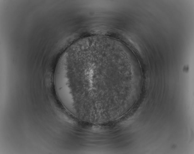 X0000092020641200709271550