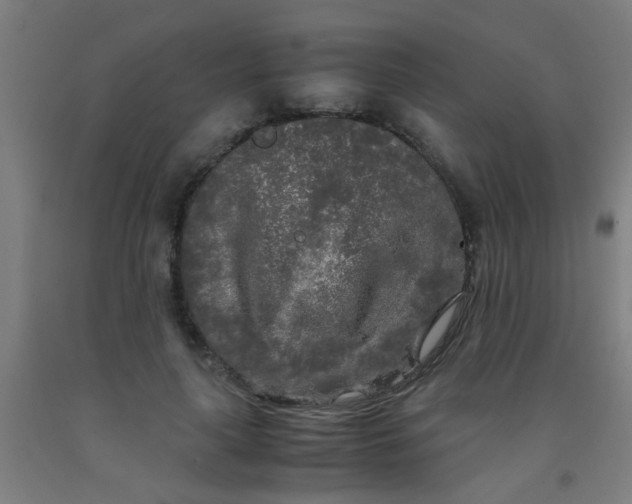 X0000092020643200709271550