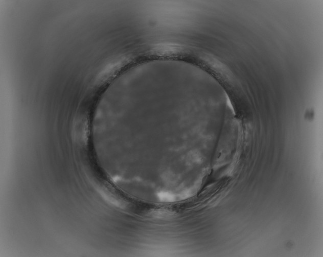 X0000092020644200709271550