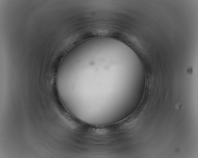 X0000092020645200709271550