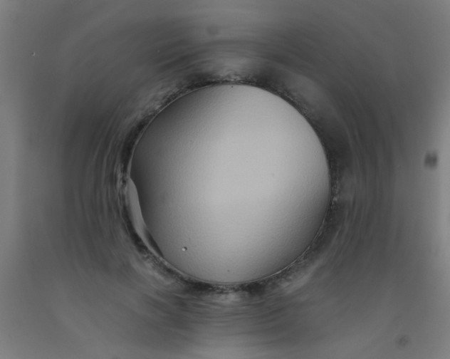 X0000092020646200709271550