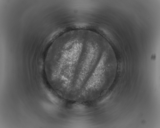 X0000092020648200709271550